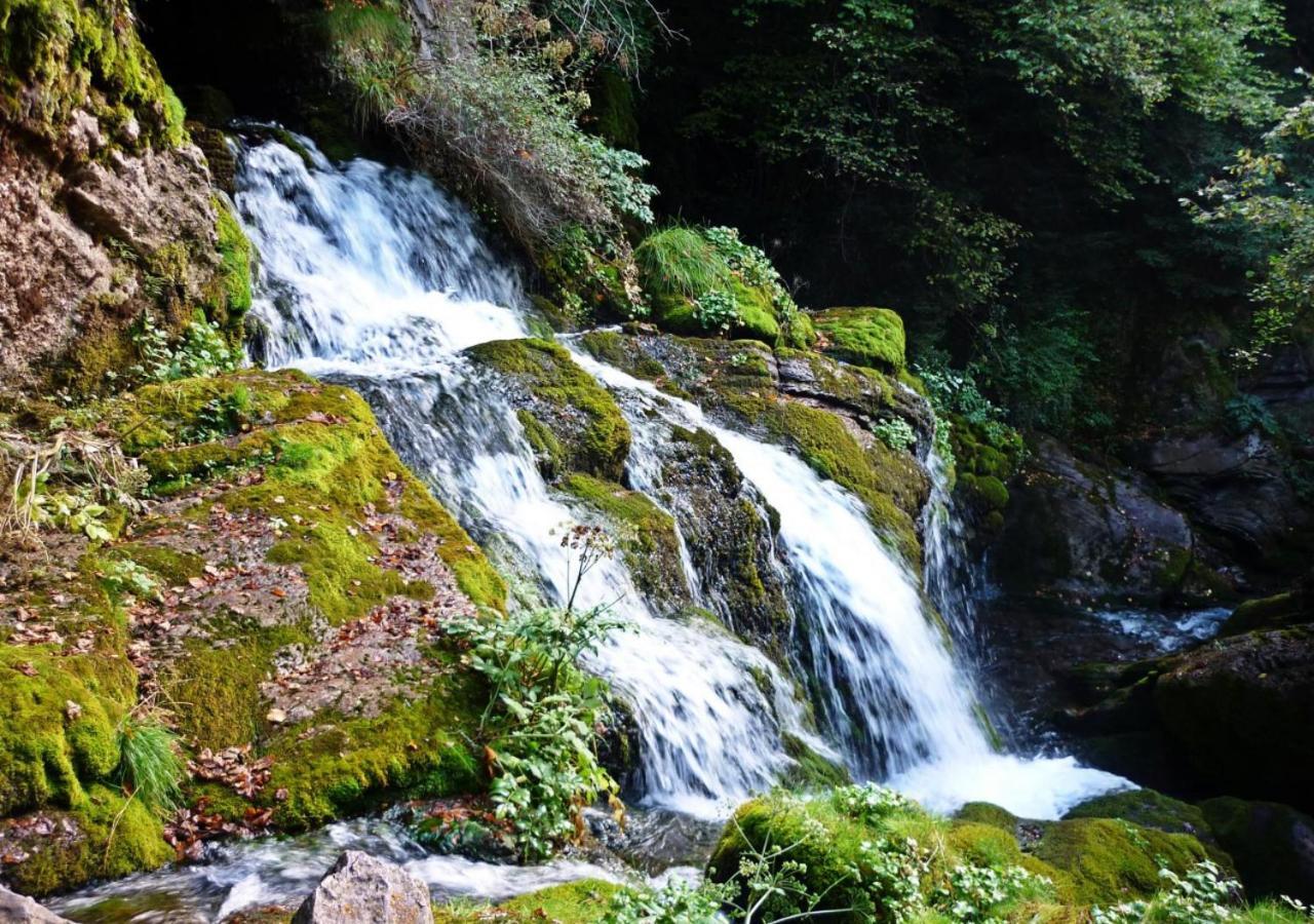 Apartamento Con Encanto En El Pirineo La Pobla de Lillet Bagian luar foto