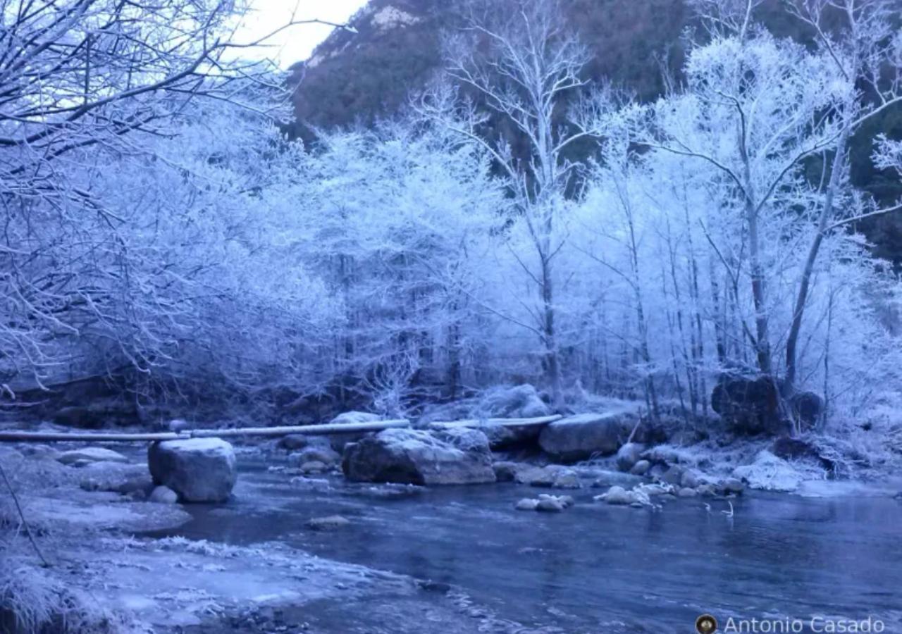 Apartamento Con Encanto En El Pirineo La Pobla de Lillet Bagian luar foto